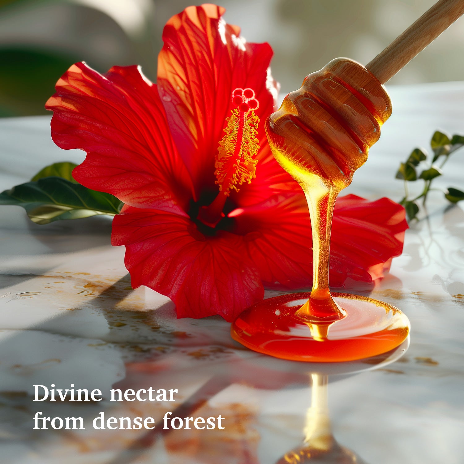 Hibiscus Infused Honey