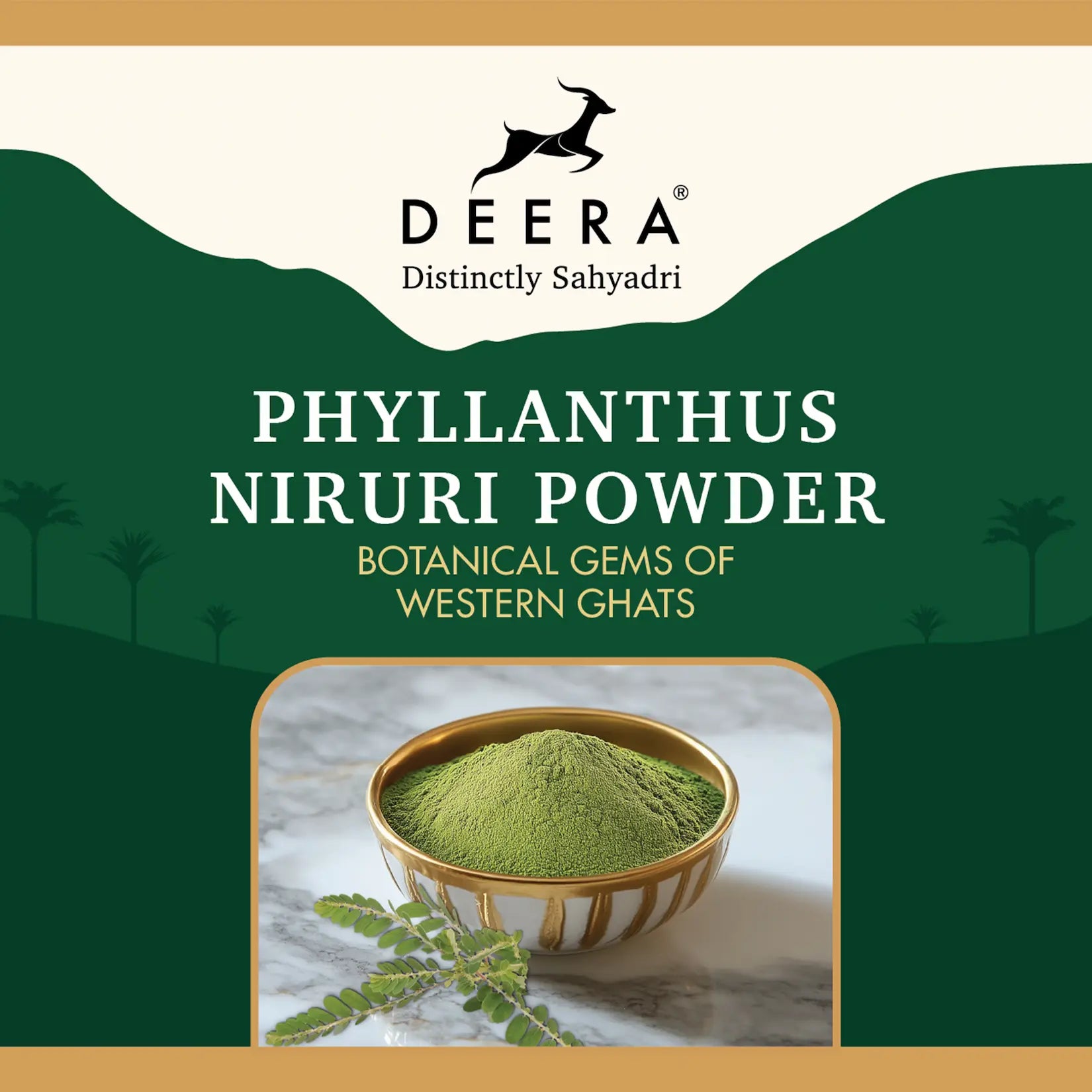 Phyllanthus Niruri Powder
